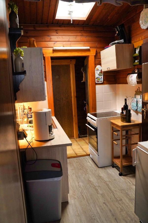 Ferienblockhaus Harzidyll Apartment Wieda Екстериор снимка