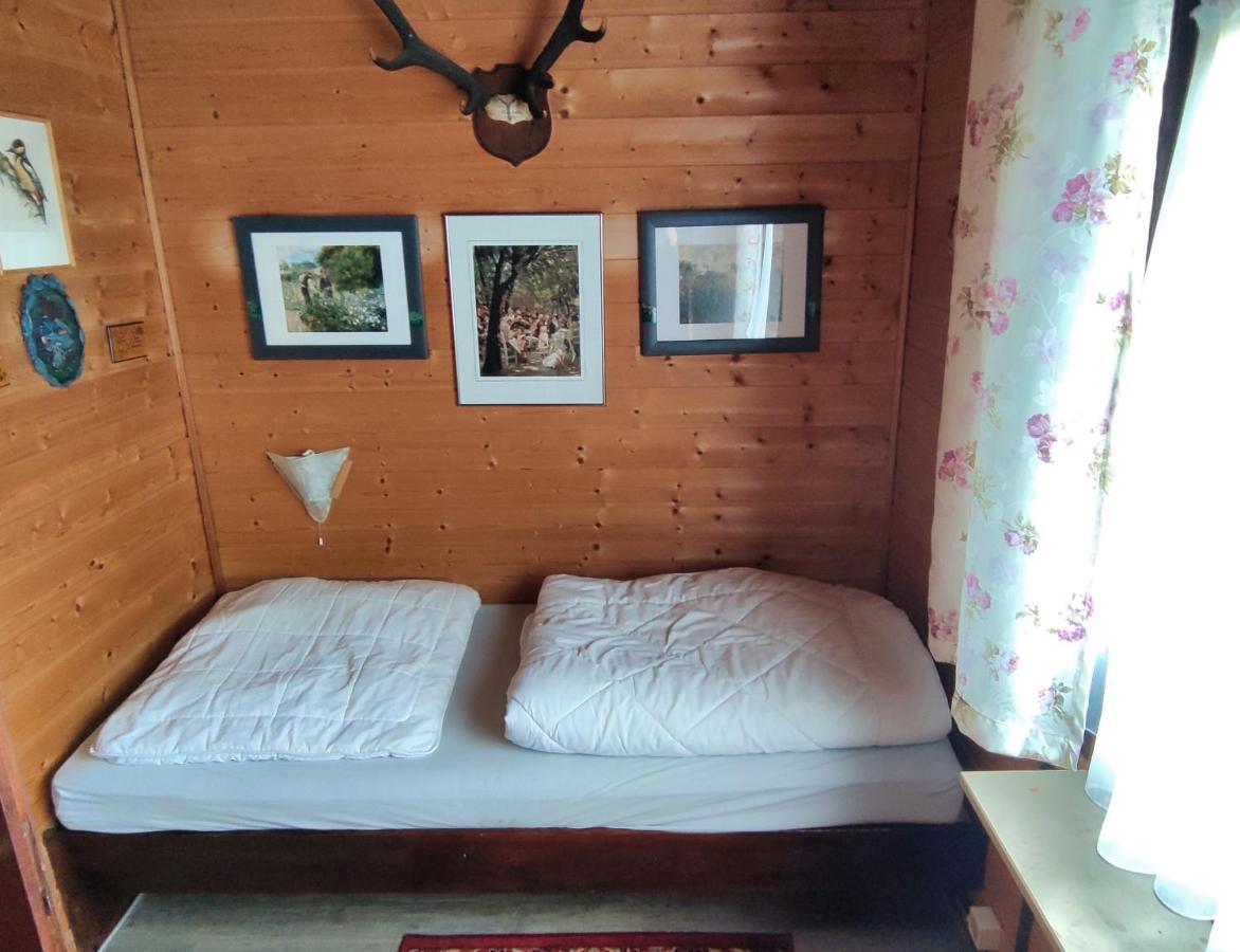 Ferienblockhaus Harzidyll Apartment Wieda Екстериор снимка