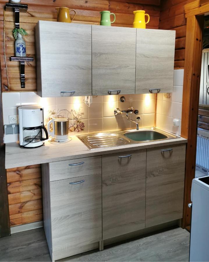 Ferienblockhaus Harzidyll Apartment Wieda Екстериор снимка
